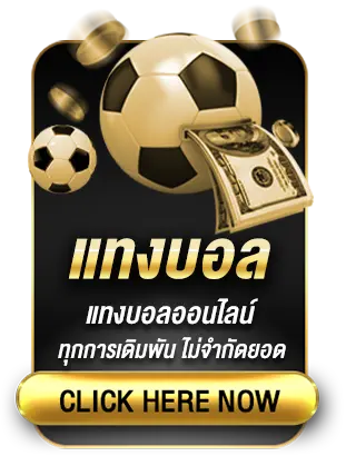 แทงบอล-5